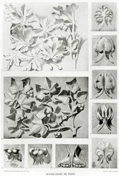 Architectural details for the restoration of Notre Dame